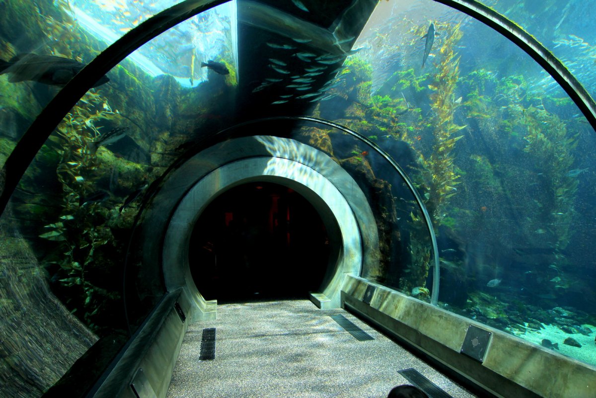 Подводный туннель в стамбуле