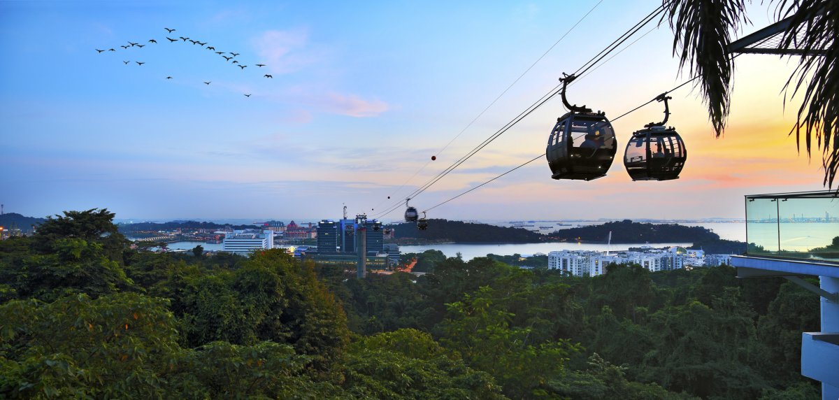 Канатная дорога Cable car