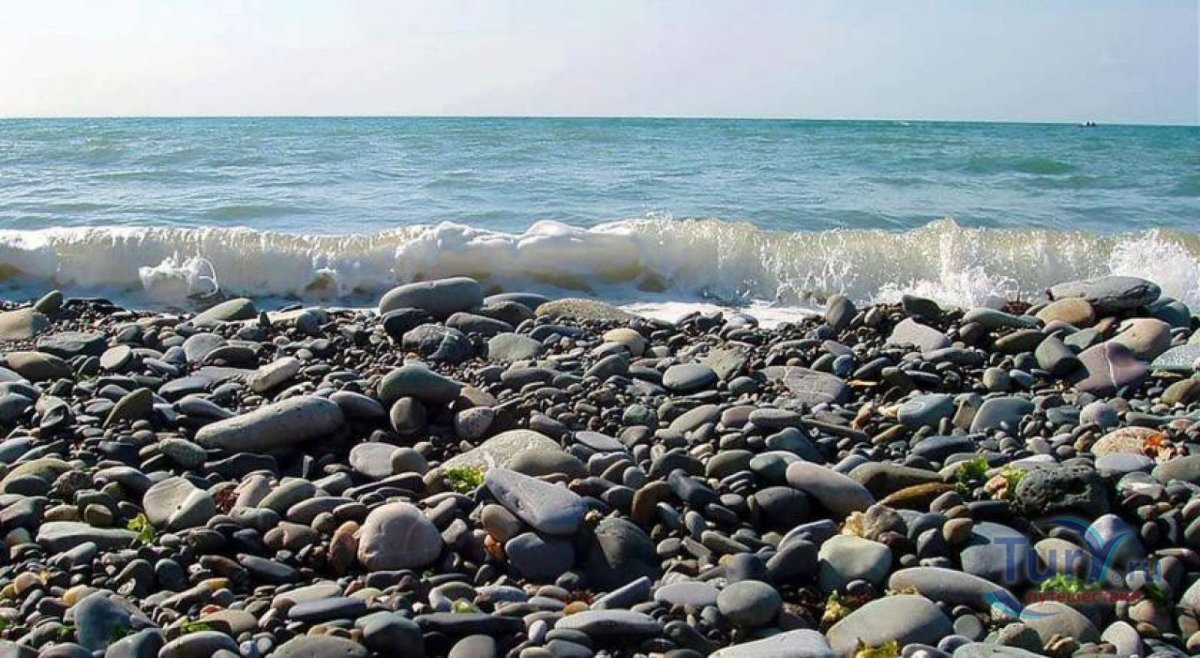 Море черное море Адлер