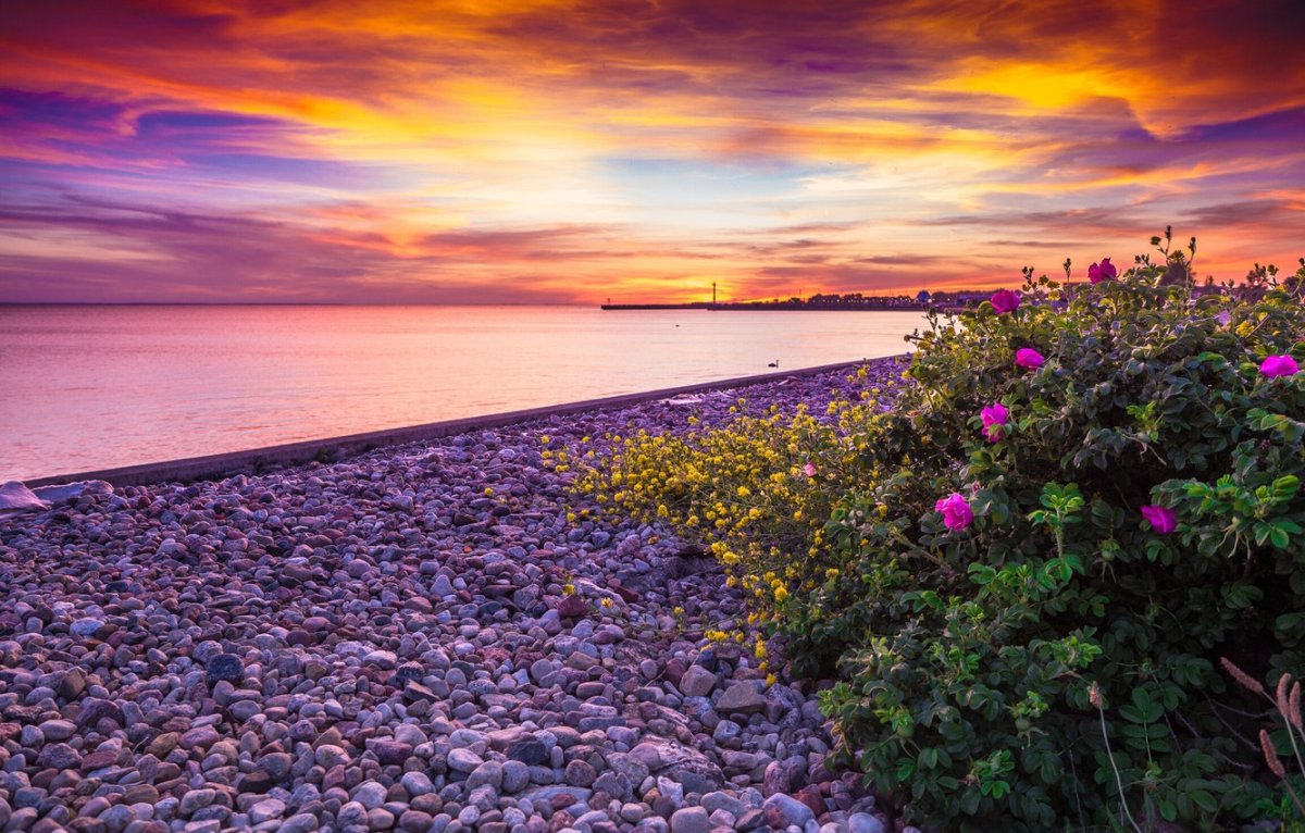 Адлер море