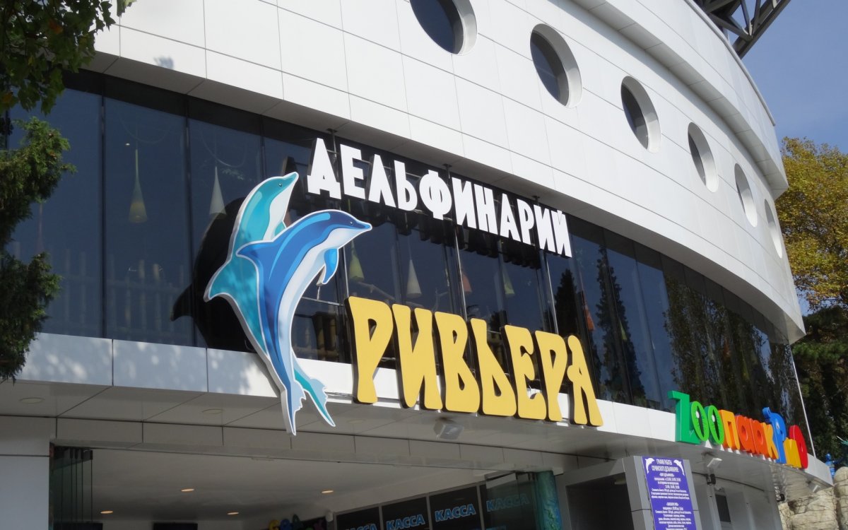 Дельфинарий Сочи Ривьера