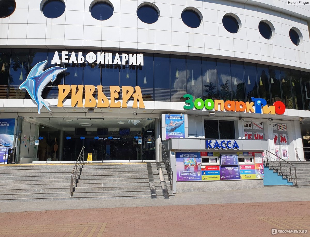 Дельфинариум Адлер