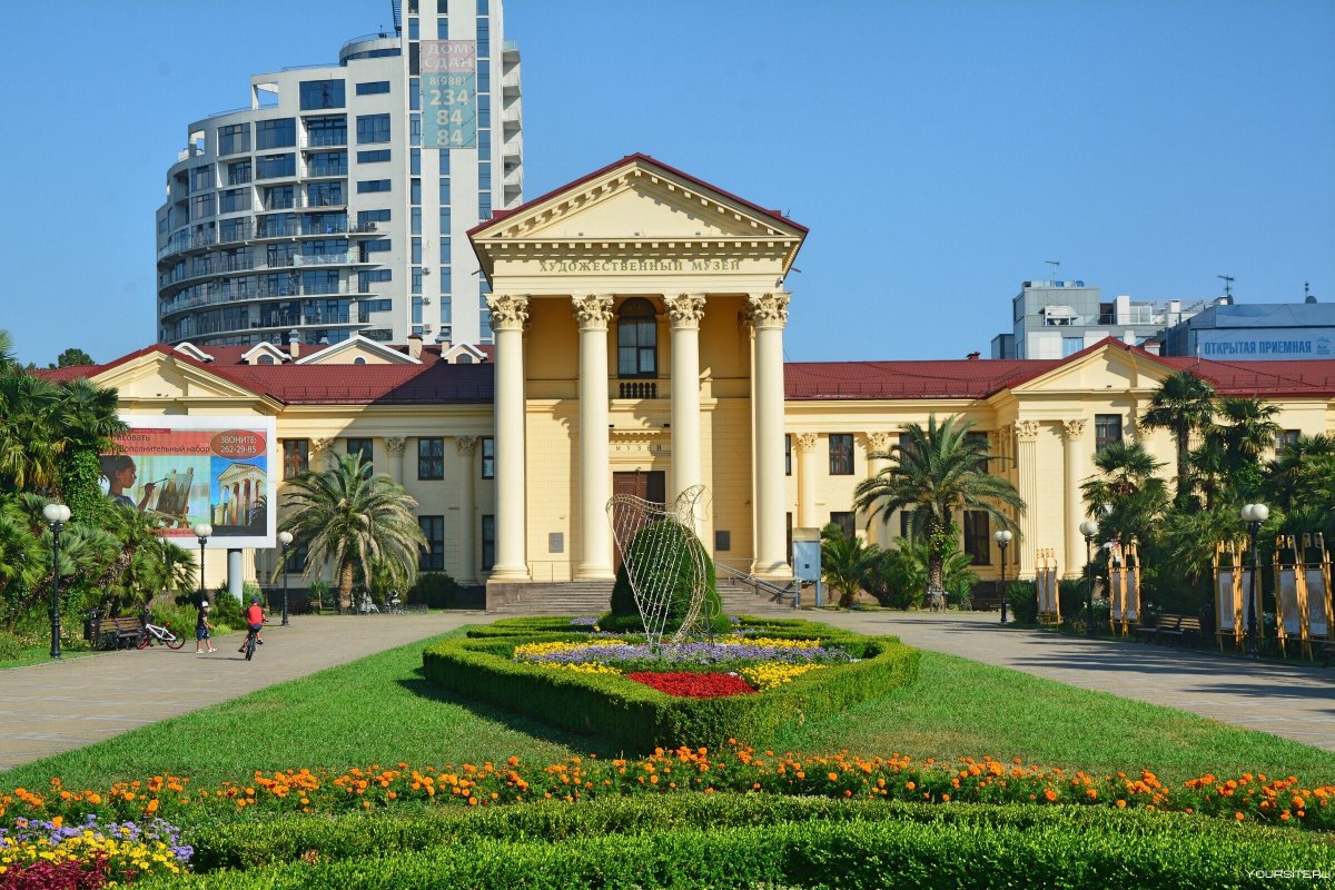 Улица Навагинская Сочи пальмы
