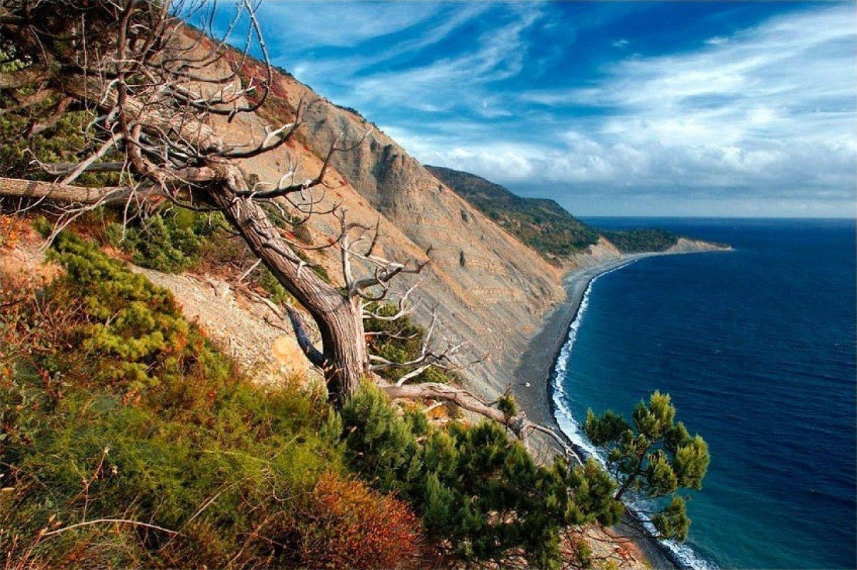 Кавказское побережье черного моря