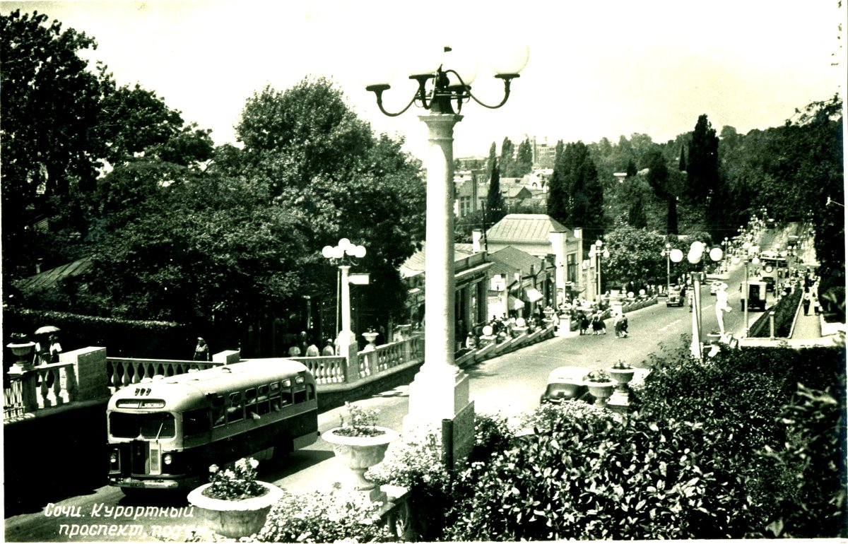 Старый парк в Лазаревской