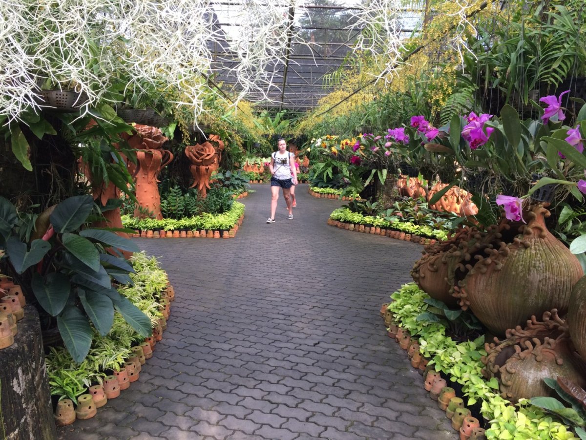 Flower Land Pattaya