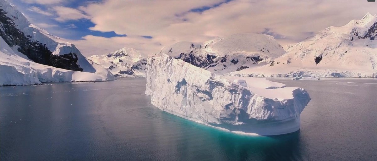 Ледники австралии