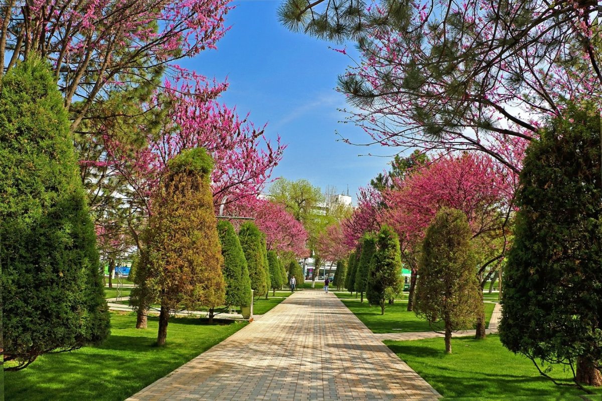Узбекистан весной