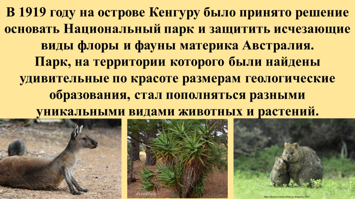 Рассказ про остров кенгуру