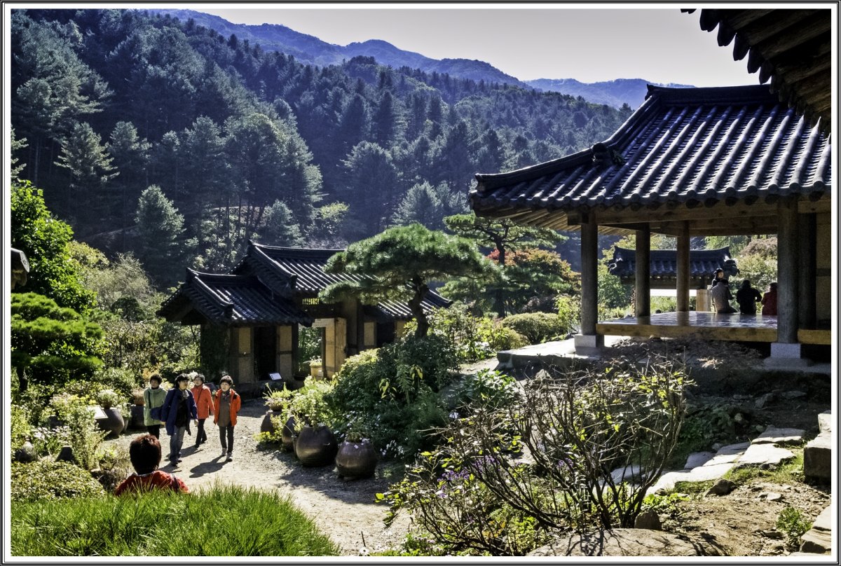Растительный мир южной кореи