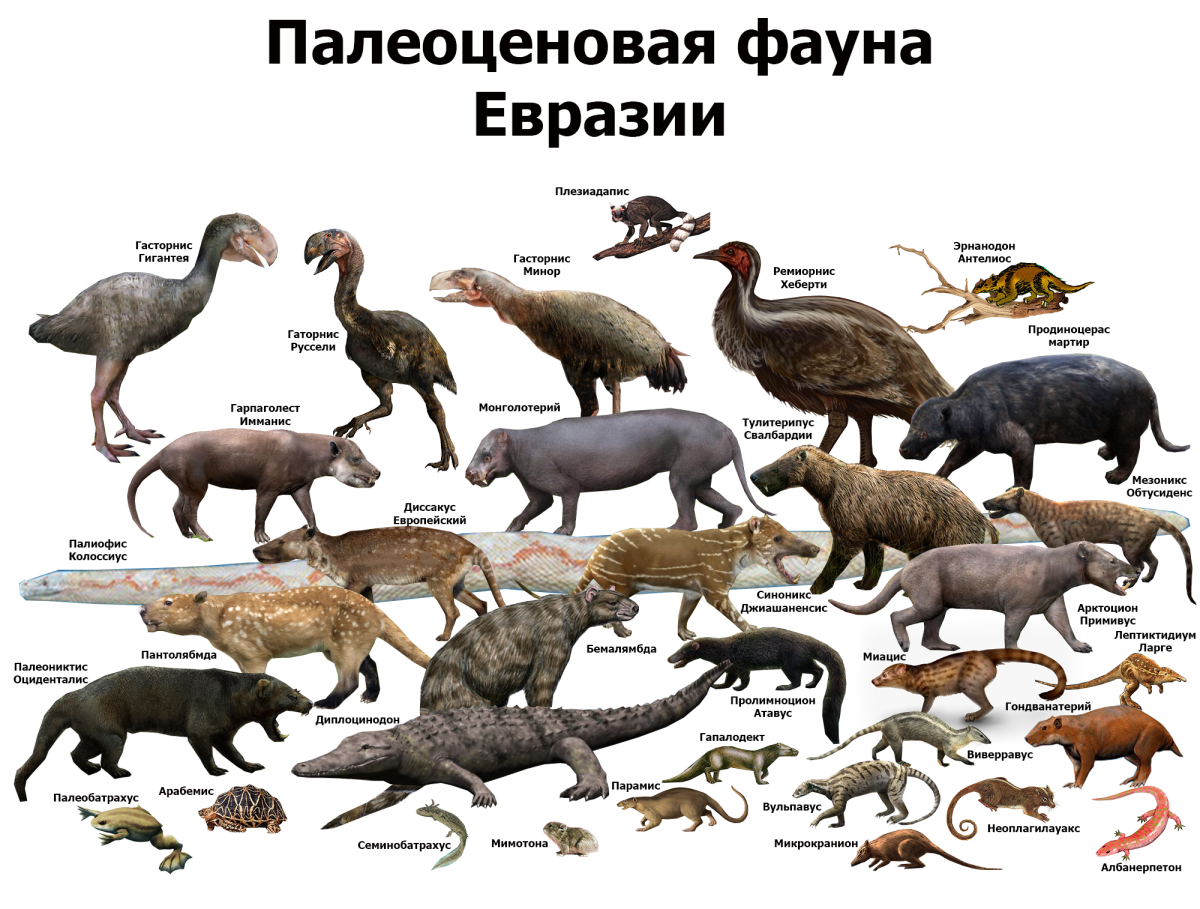 Древние животные Северная Америка