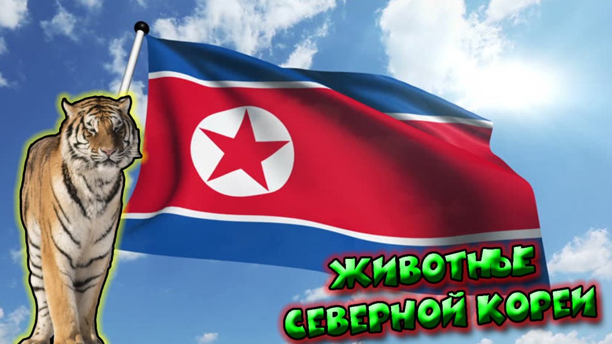 Национальное животное КНДР
