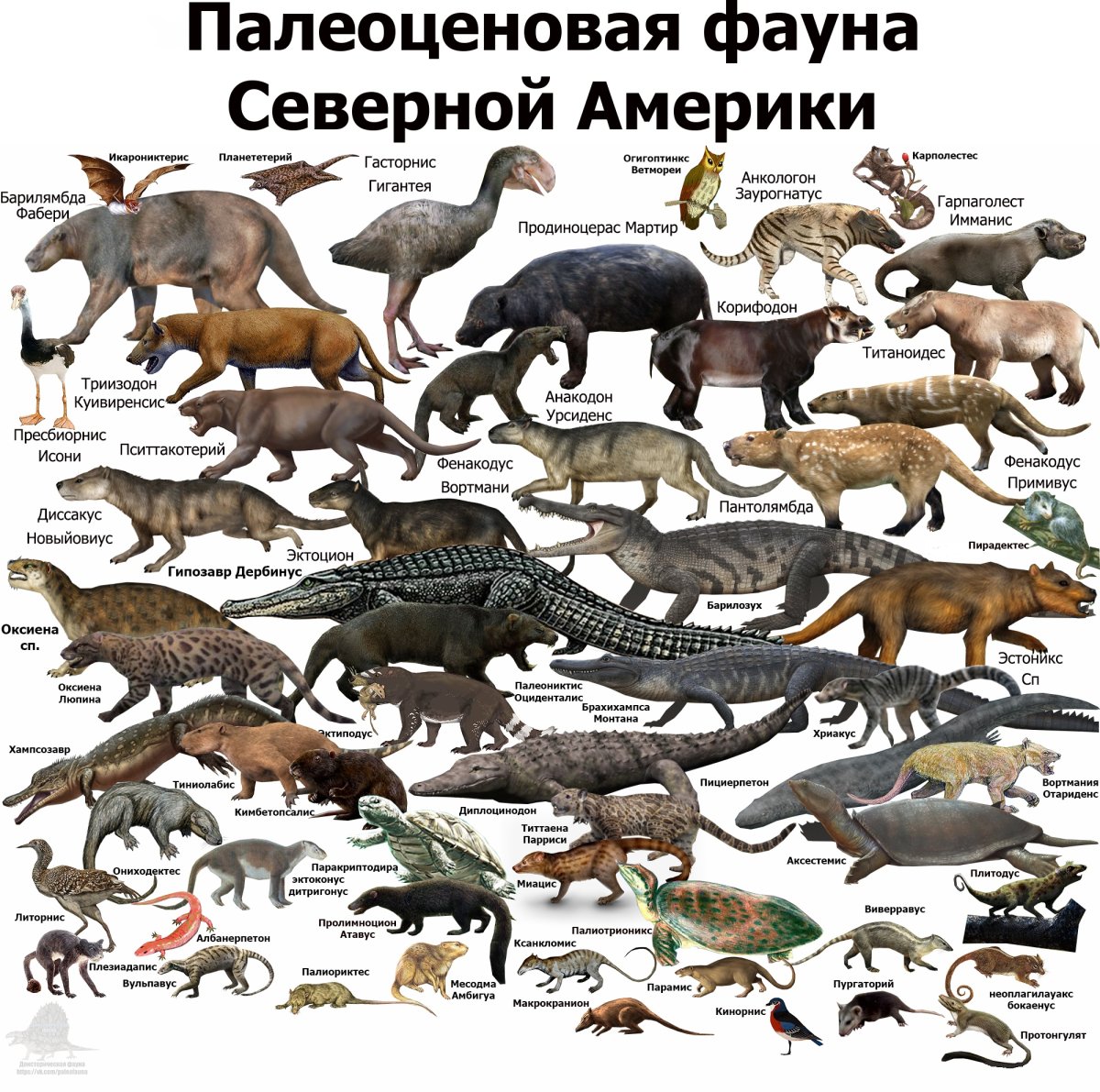 Миоценовая фауна Южной Америки