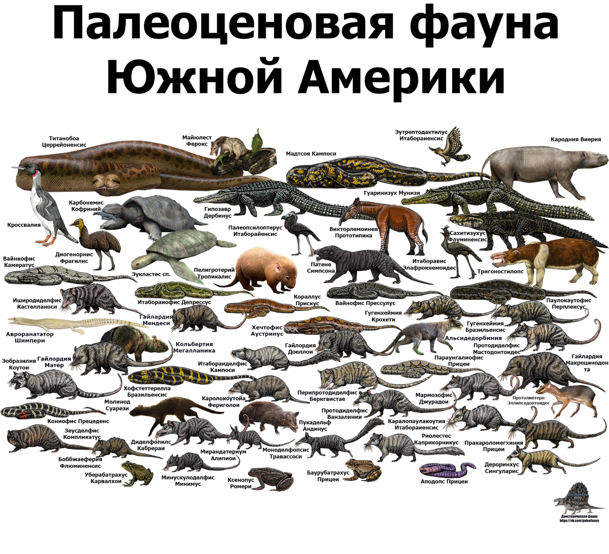 Палеоценовая фауна Северной Америки