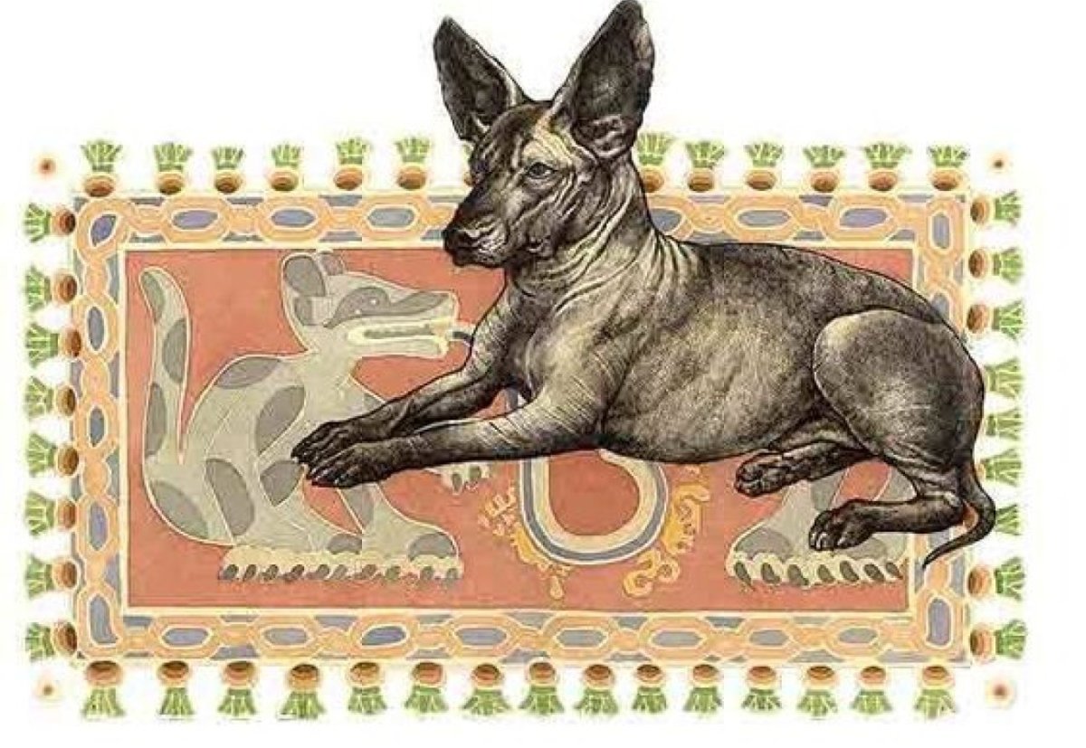 Кумихо корейская мифология