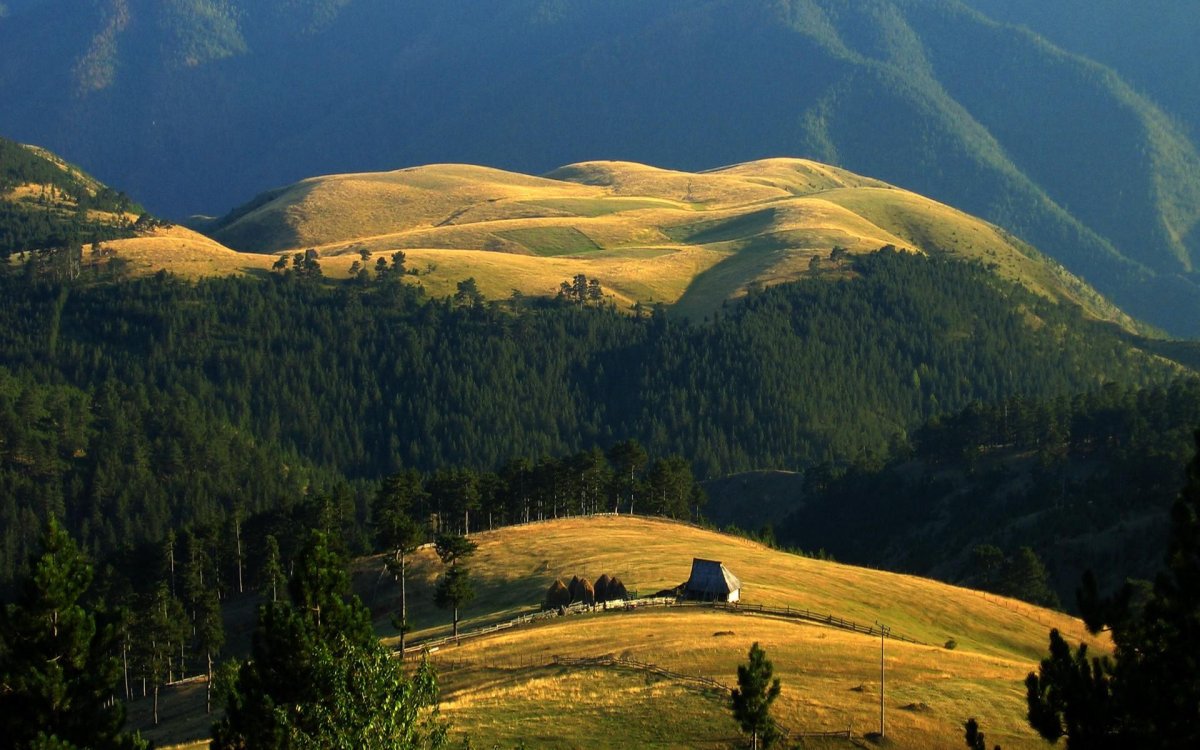 Златибор Сербия
