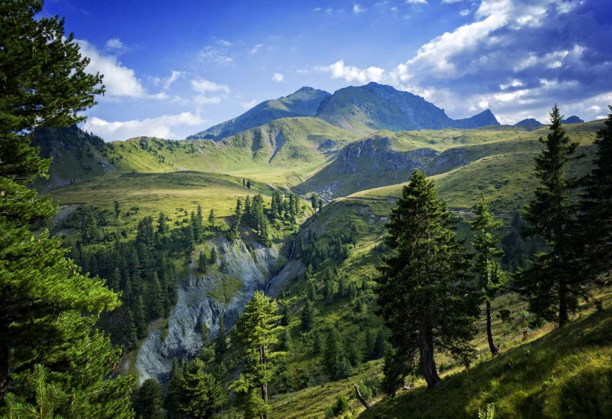 Гора Джеравица Сербия