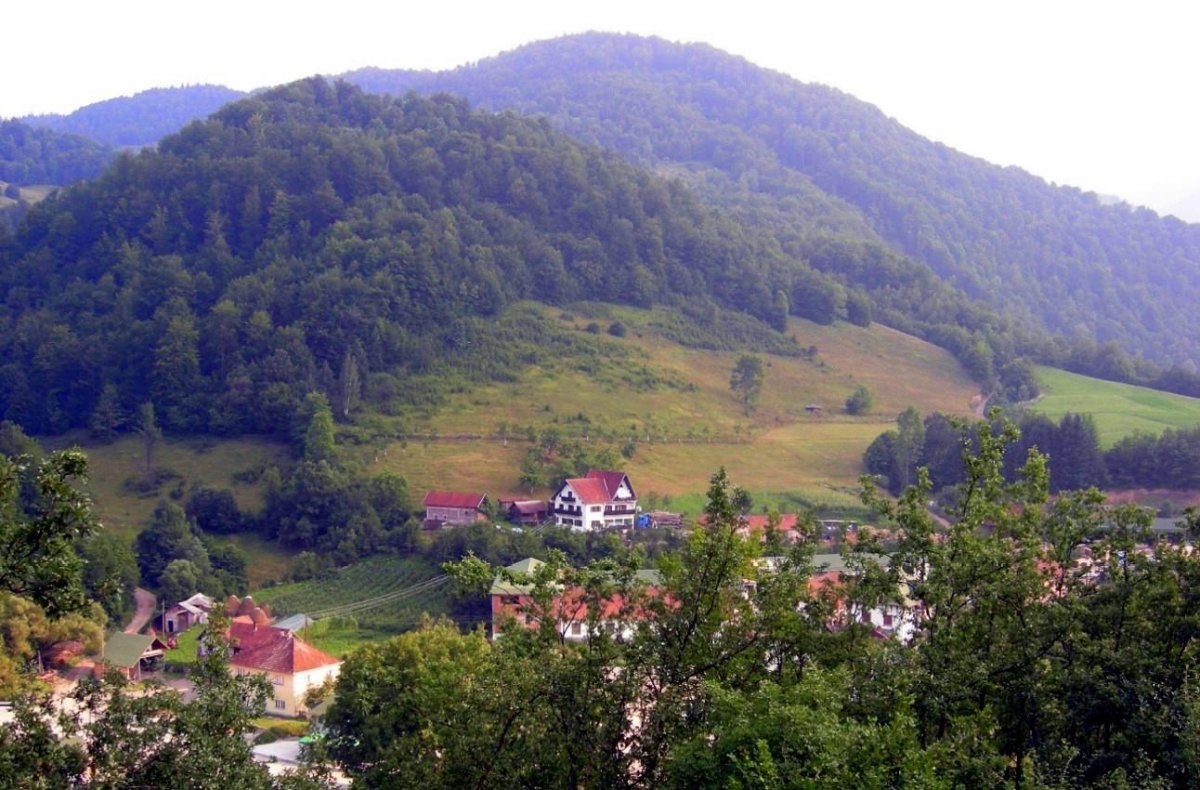 Златый Бор Сербия