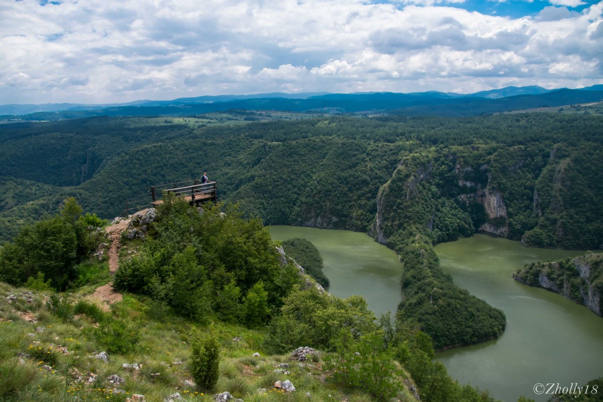 Флора Сербии