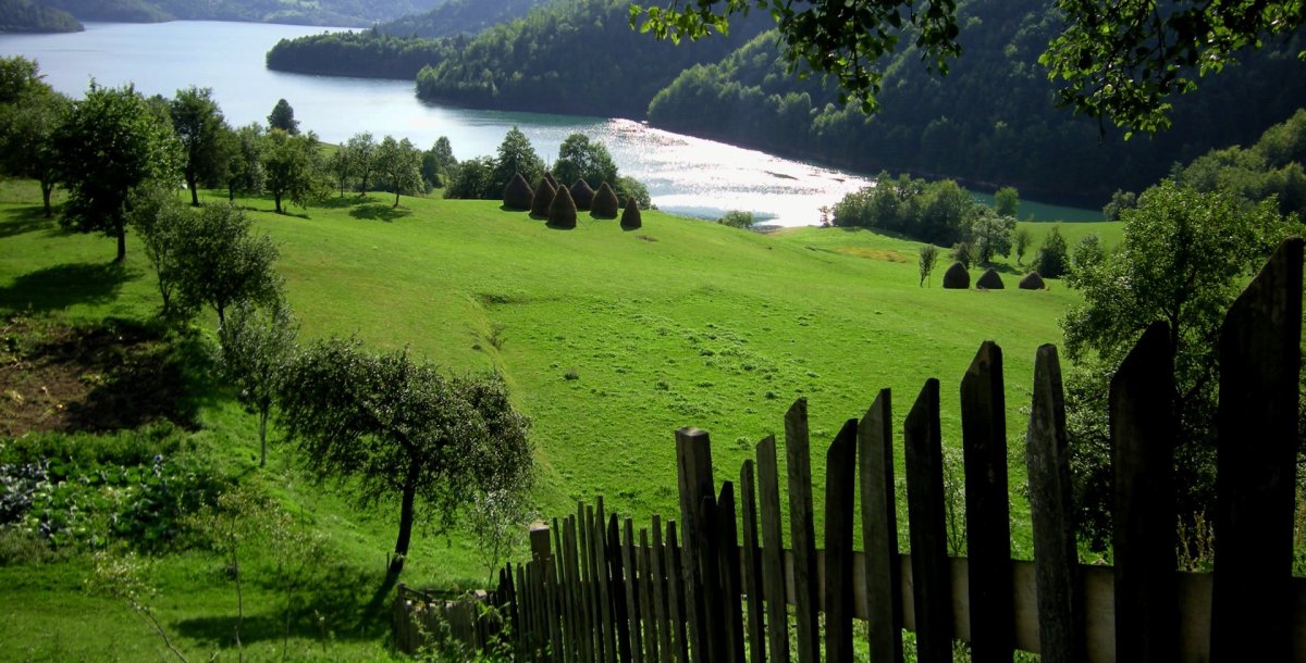 Banjska stena