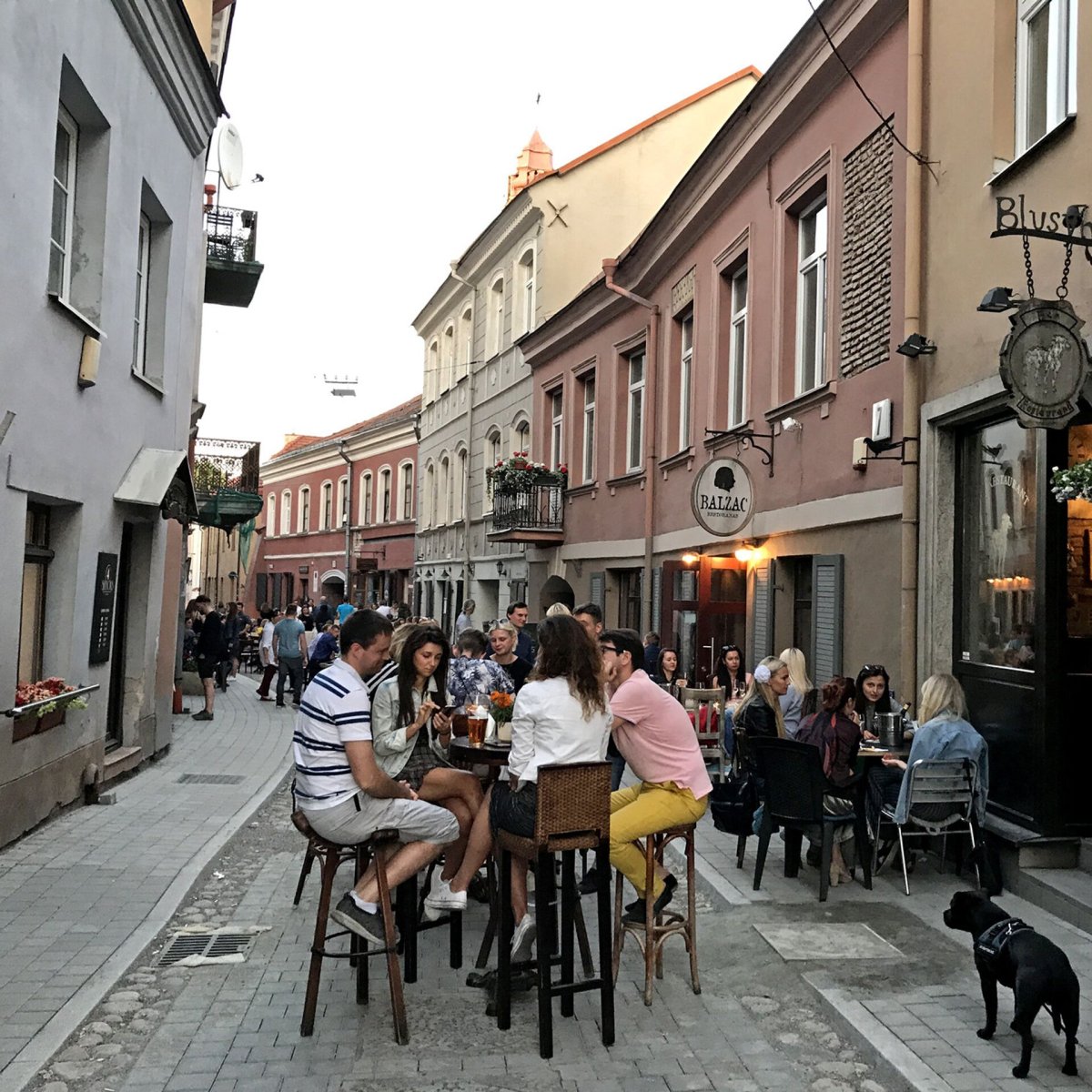 Город Каунас Литва фото