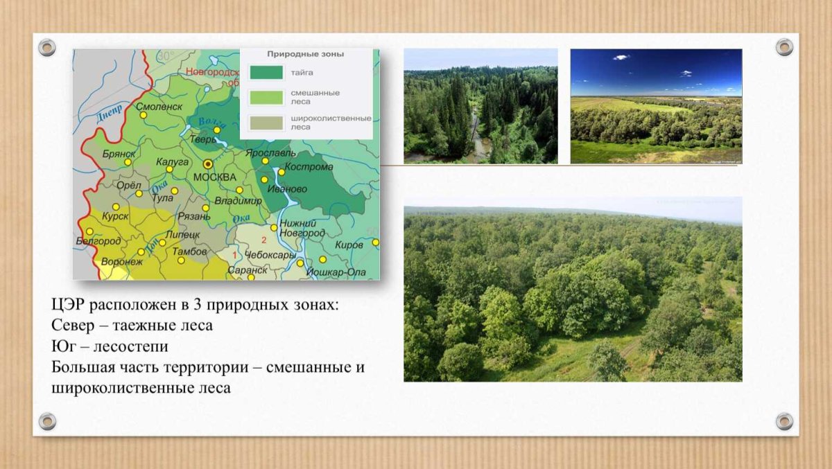 Леса Литвы
