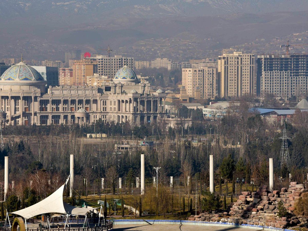Чакан 2021 Курта