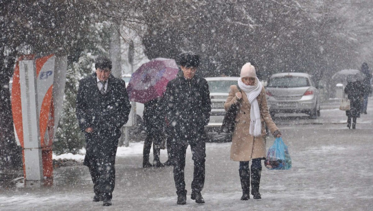 Фотографии с природой к 8 марта