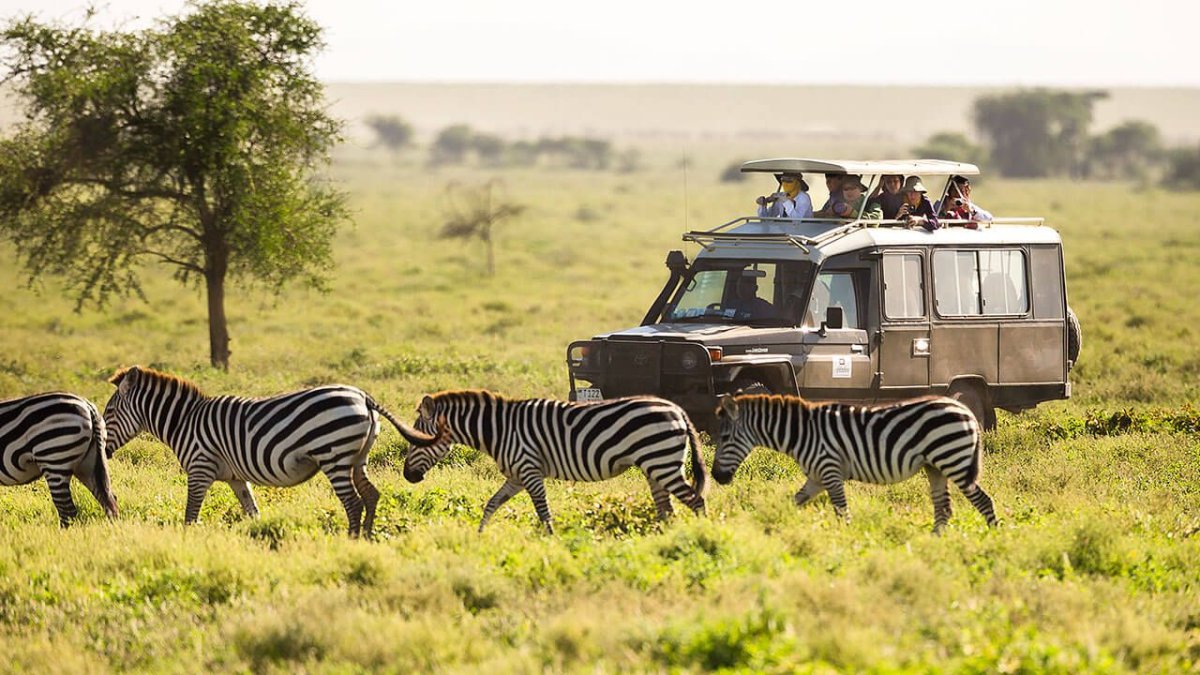 Kruger Park сафари