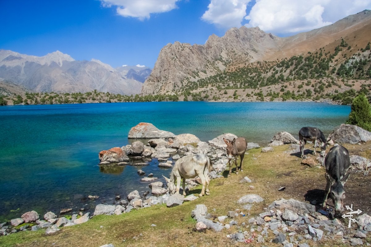 Зона отдыха в таджикистане