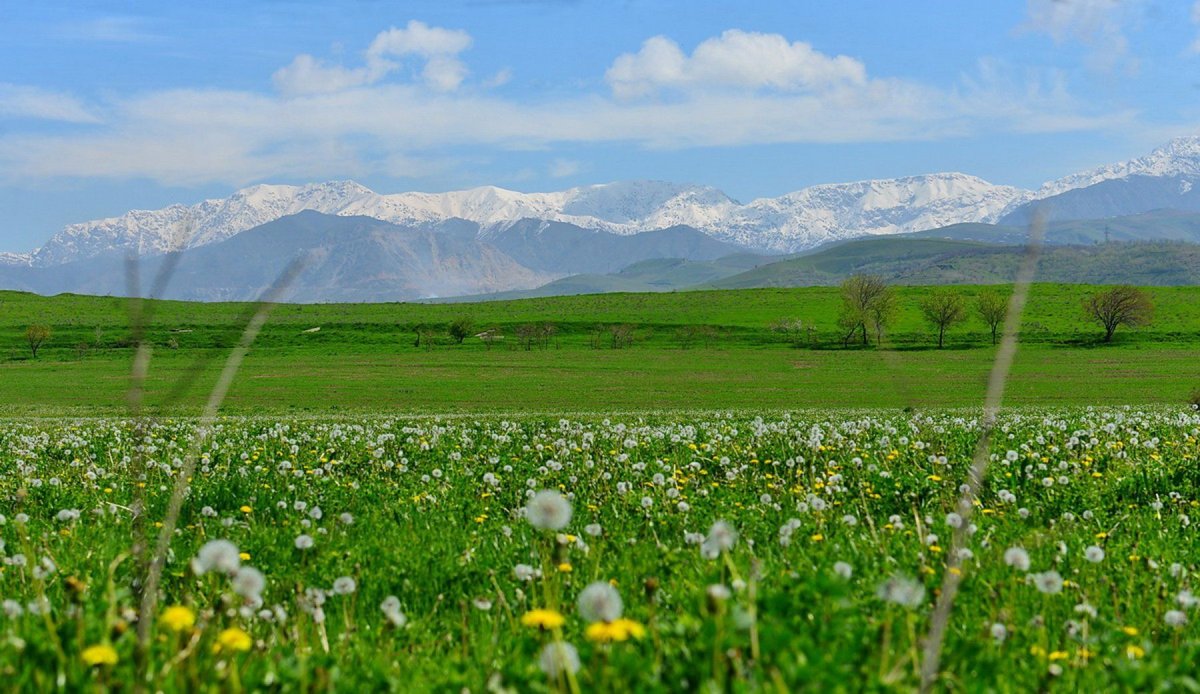 Весна таджикистан