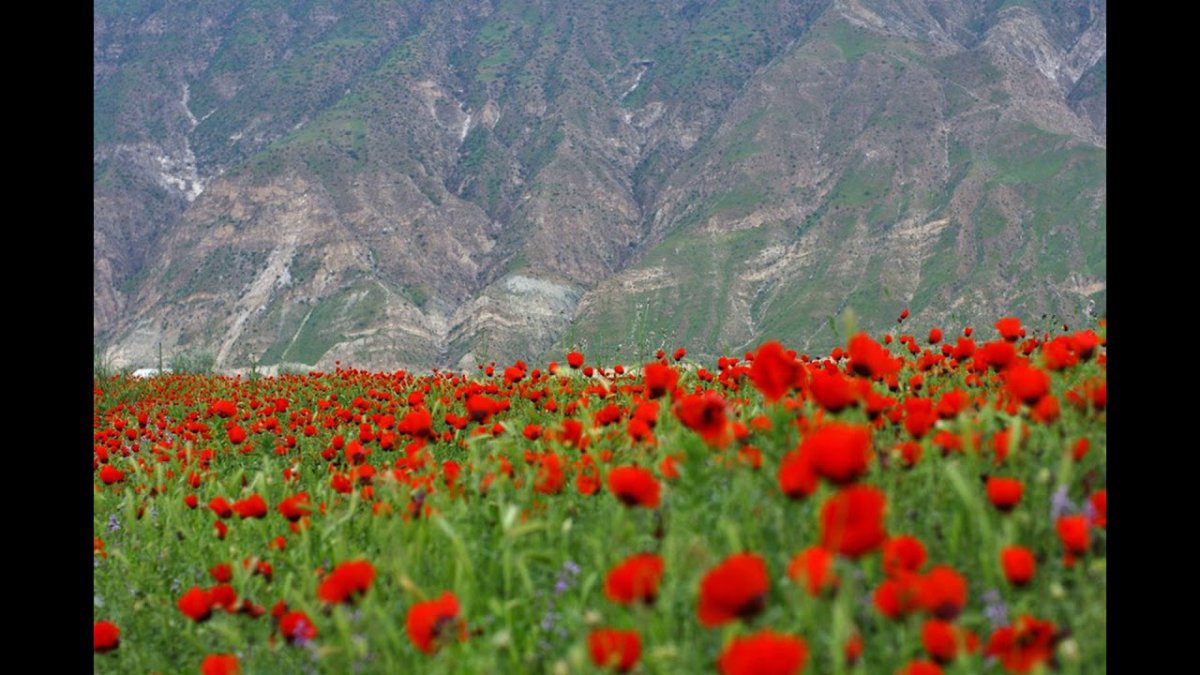 Красивая природа таджикистана