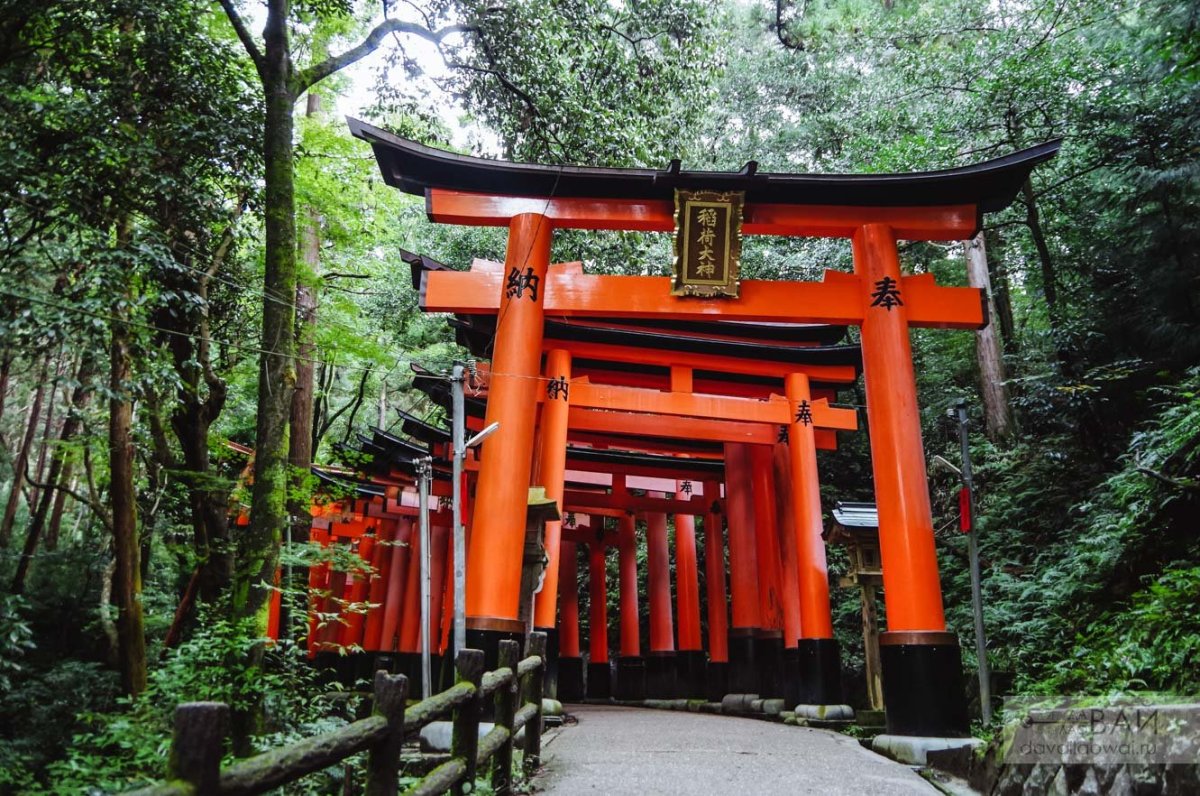 Красные ворота япония