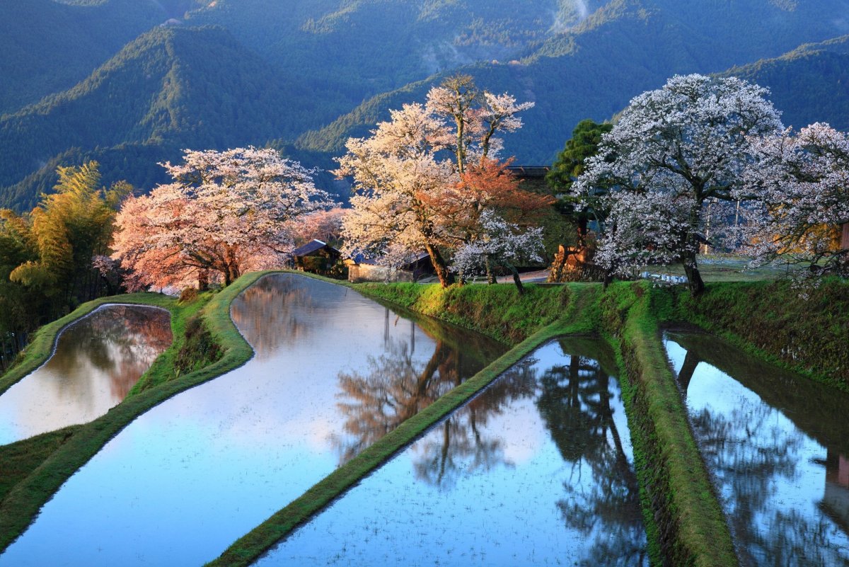 Самые красивые места японии