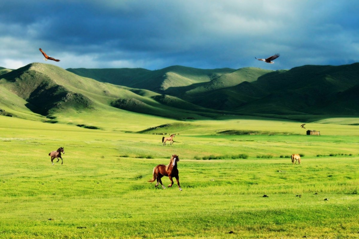 Природа казахстана картинки