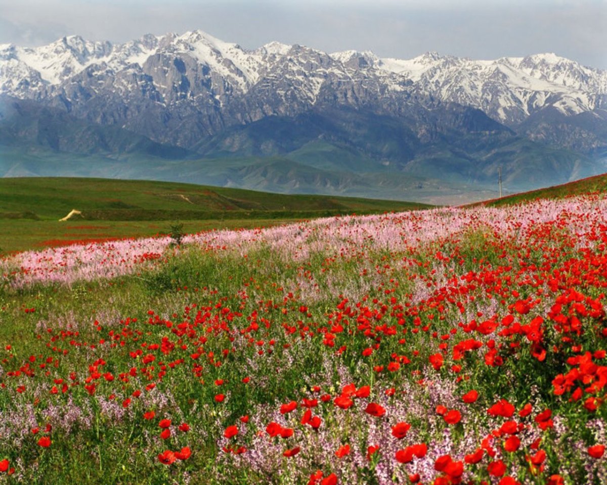 Красные горы казахстана