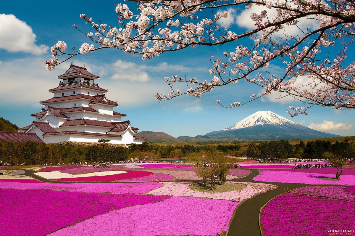 Корияма Япония