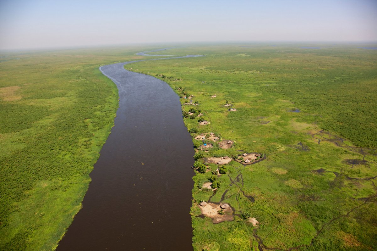 Самое большое болото в африке