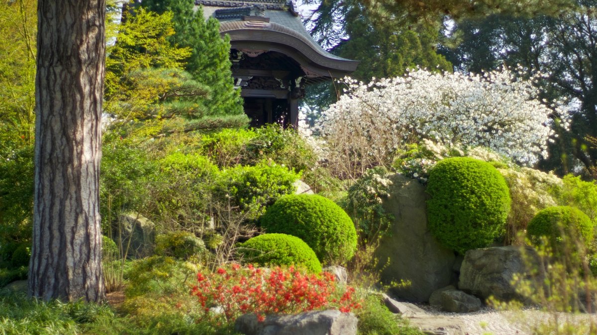Ботанический сад япония