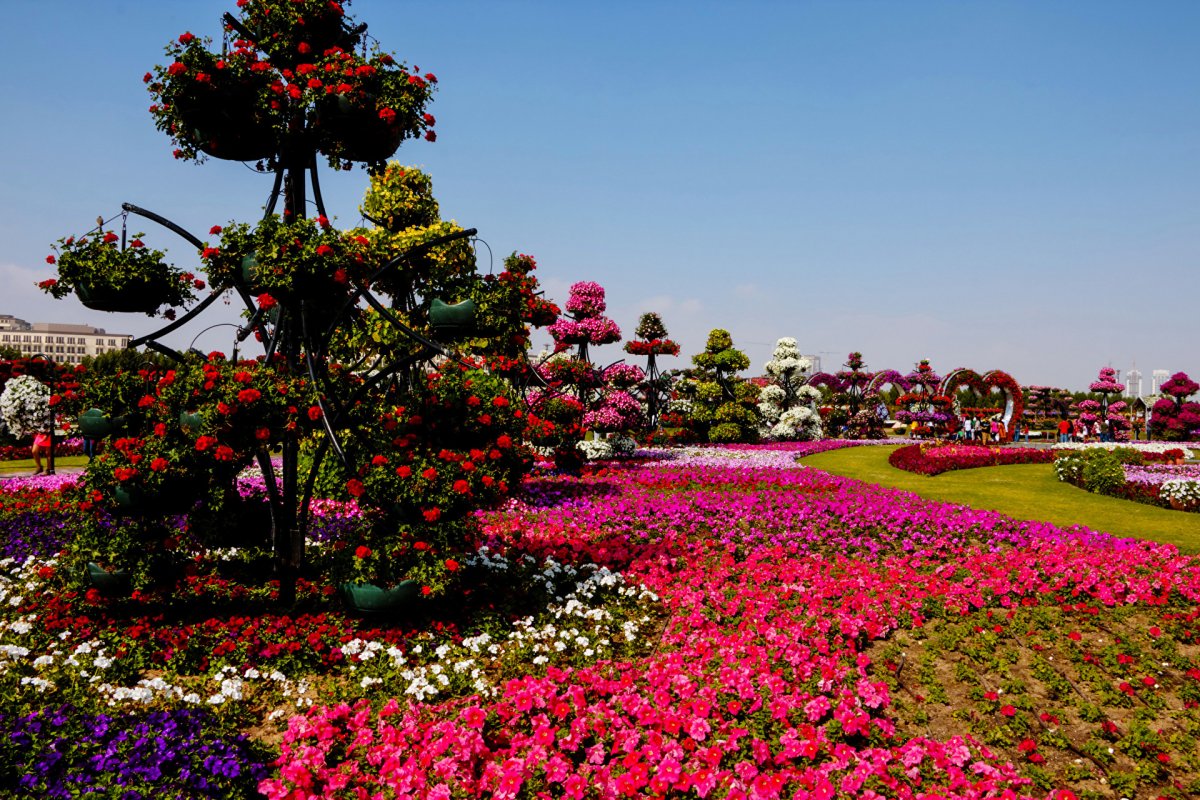 Парк цветов в японии
