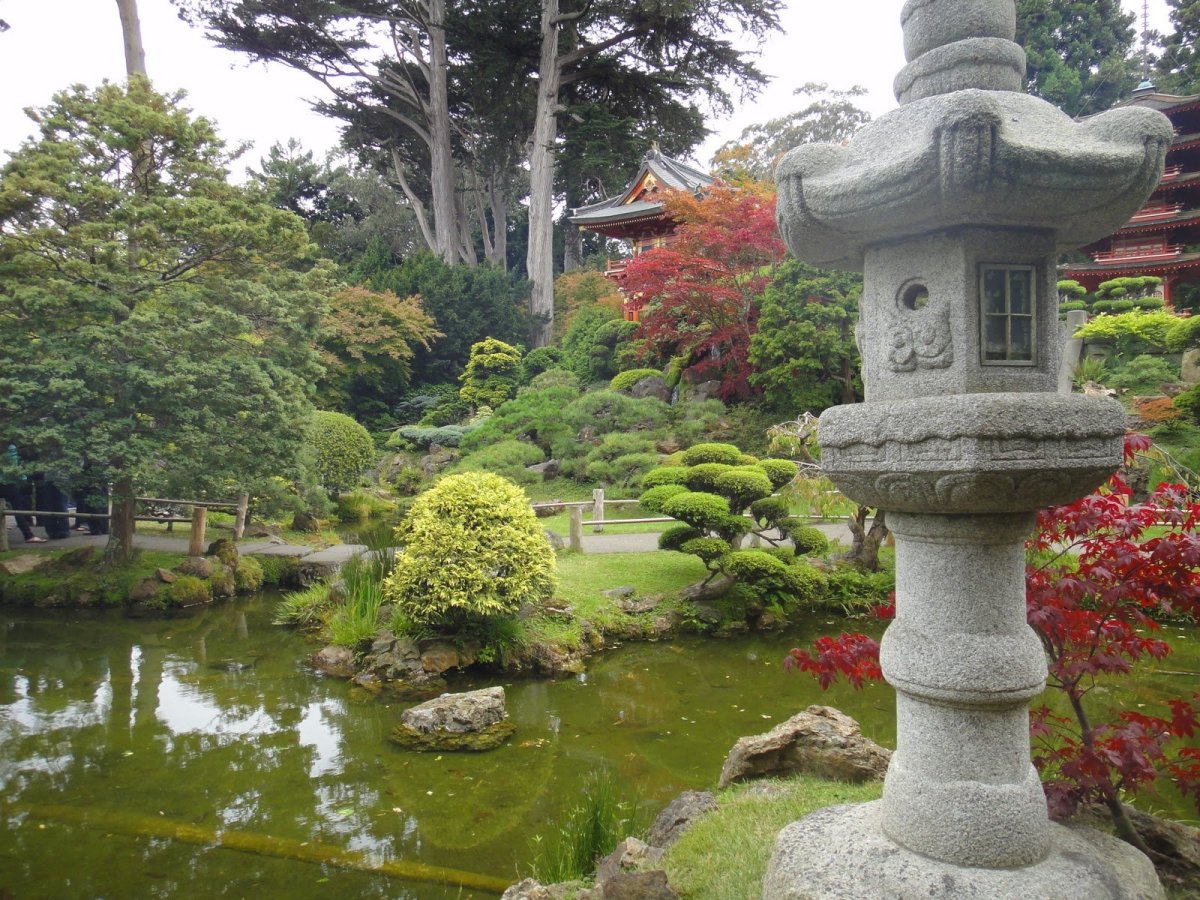Чайные сады японии
