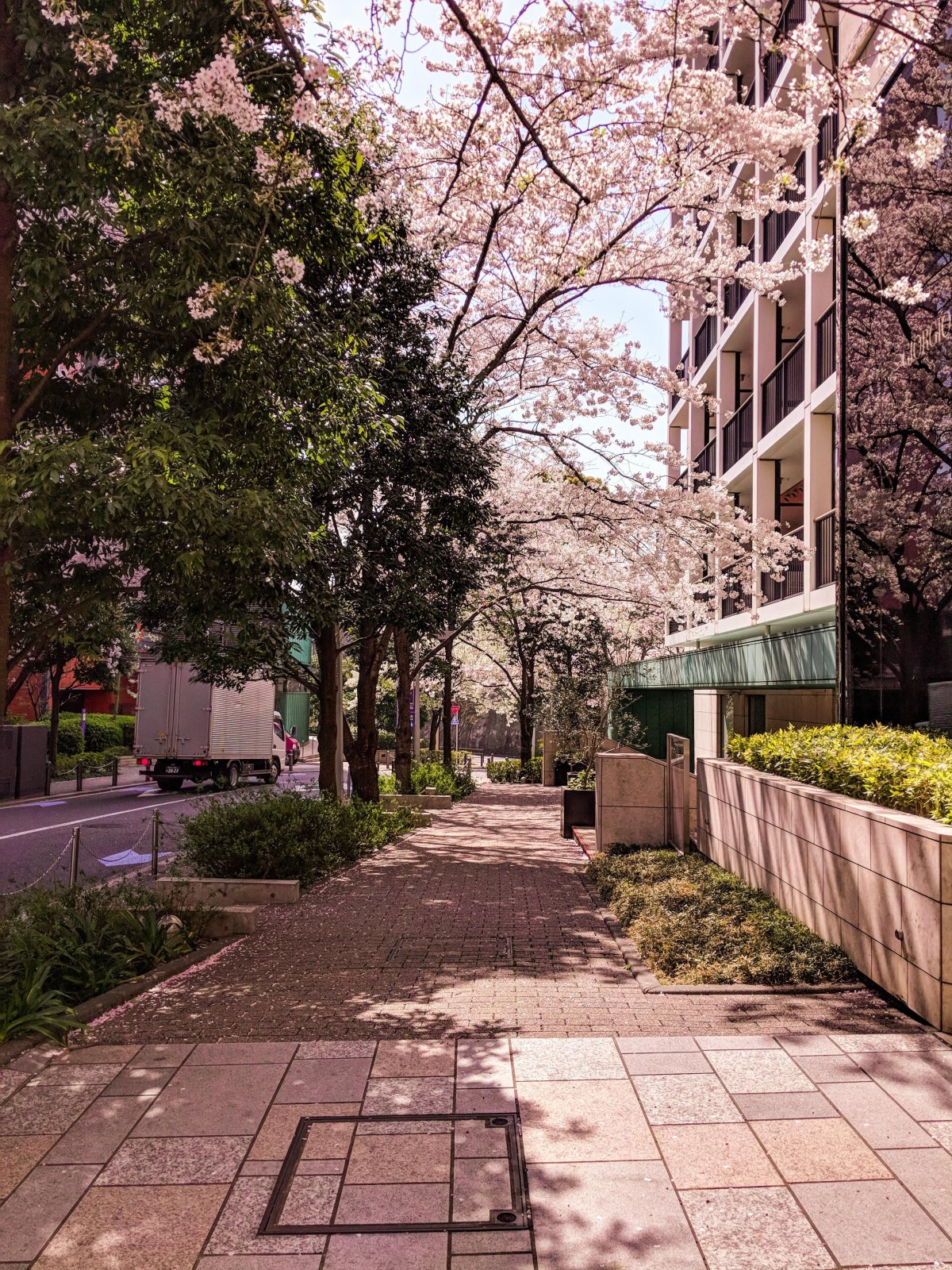 Красивые улицы японии