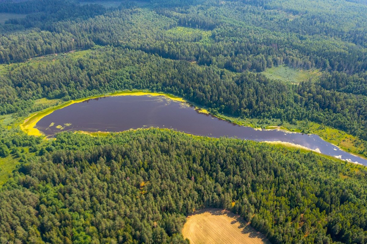 парк озеро долгое санкт петербург