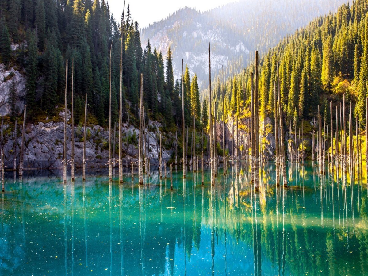 Казахстан озеро с деревьями