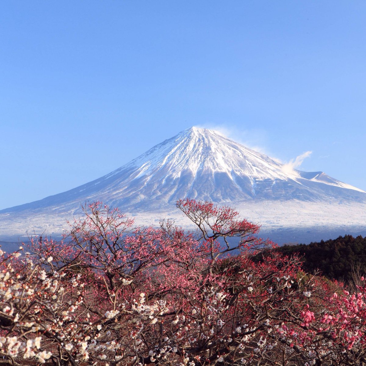 Известный вулкан в японии