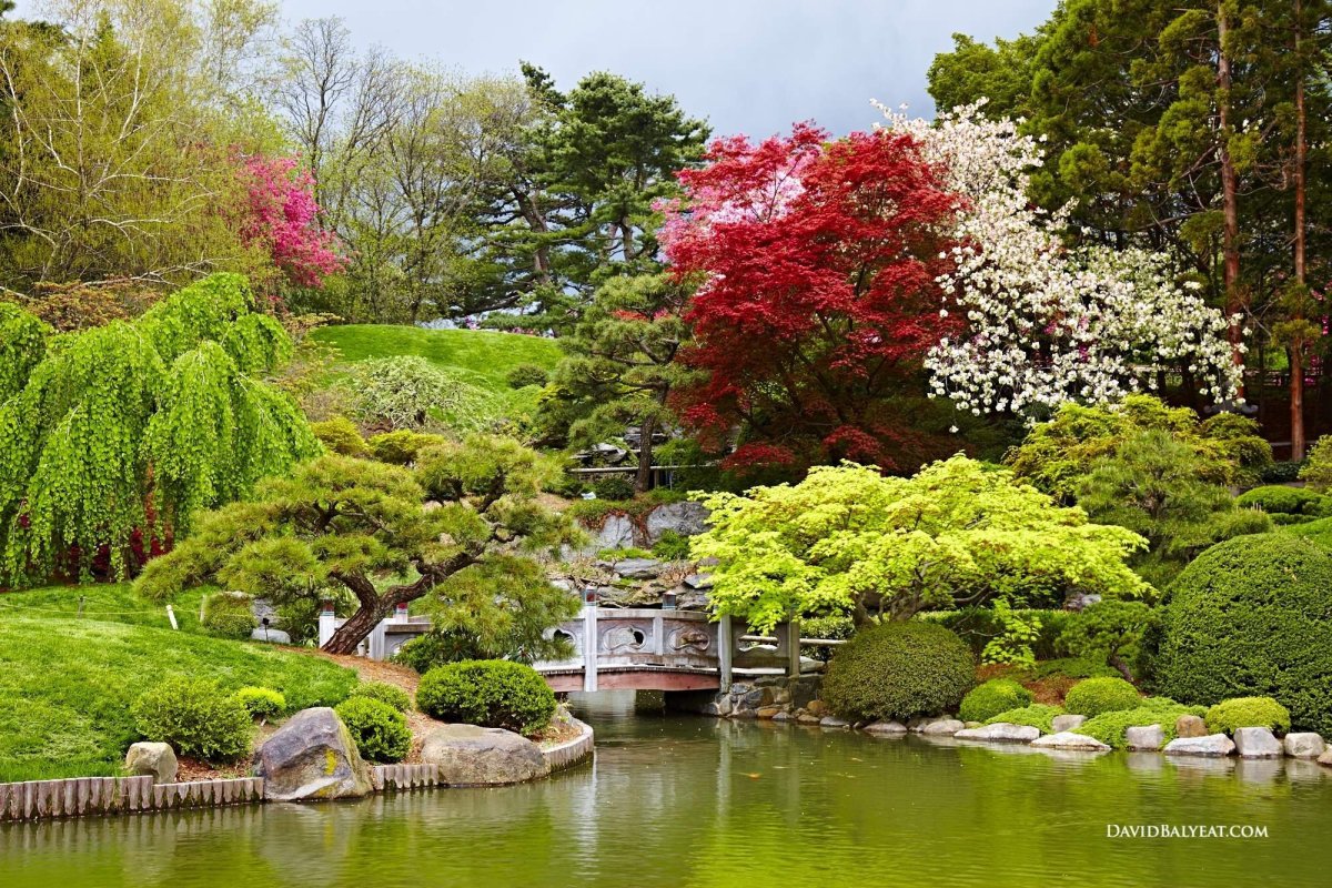 Парки и сады японии
