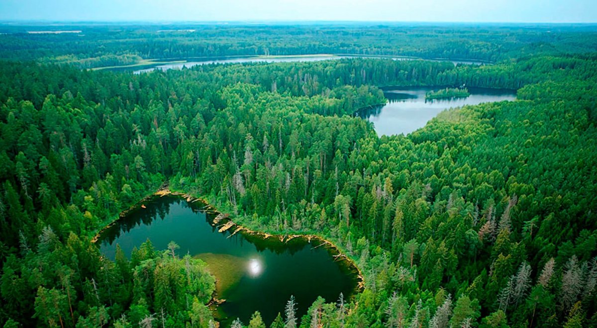 Крупнейшие озера беларуси