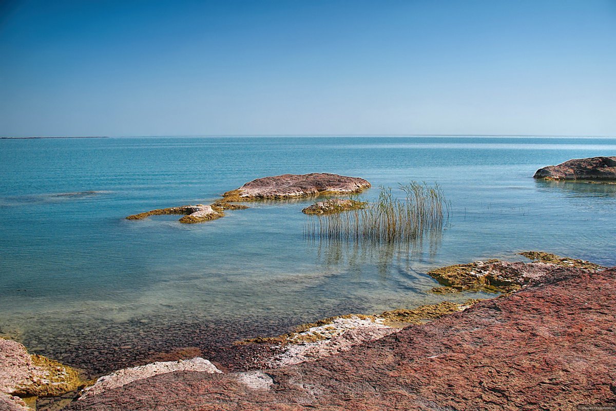 Озеро балхаш казахстан базы отдыха
