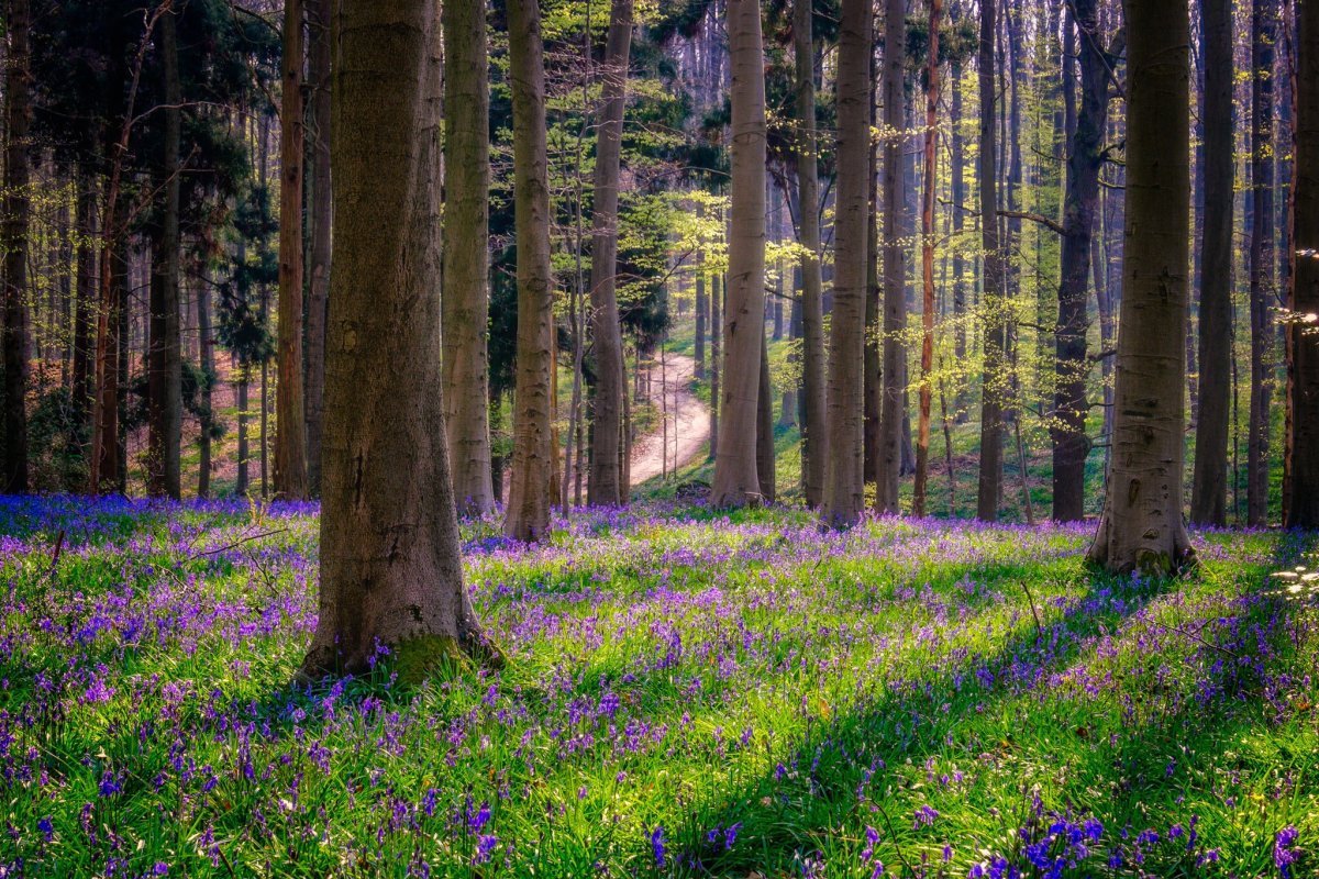 Фото на рабочий стол