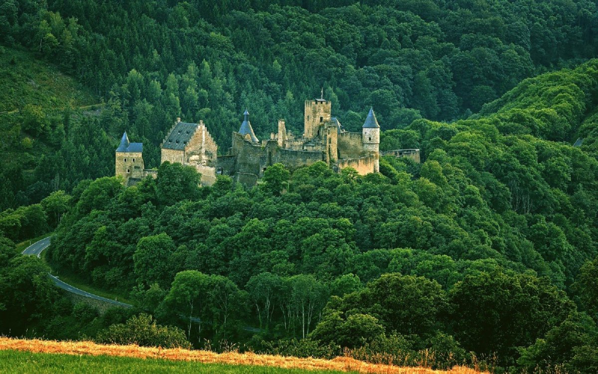 Сиамский лес Бельгия